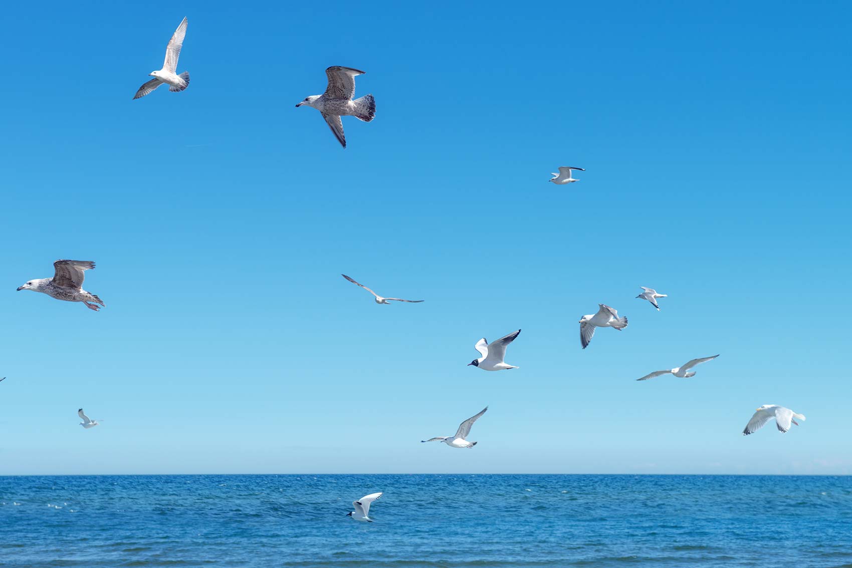 Coaching-FAQ, Antworten auf häufige Coaching-Fragen